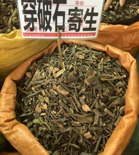 穿破石寄生500g杉树寄生 松树寄生枫树寄生 沙梨树寄生苦楝木寄生