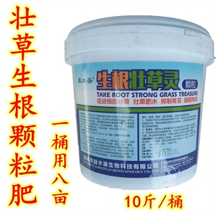 龙虾塘伊乐藻草肥 生根壮草颗粒轮叶黑藻苦草扎根生长 水草肥料颗