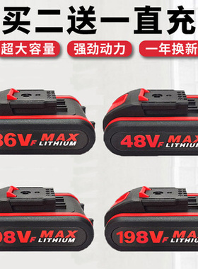 通用36VF手电转钻电池48VF98VF198VF21V平推式充电钻锂电池充电器
