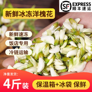 2026新鲜冰冻洋槐花槐花冰冻发货槐花骨朵花苞野菜顺丰包邮速发