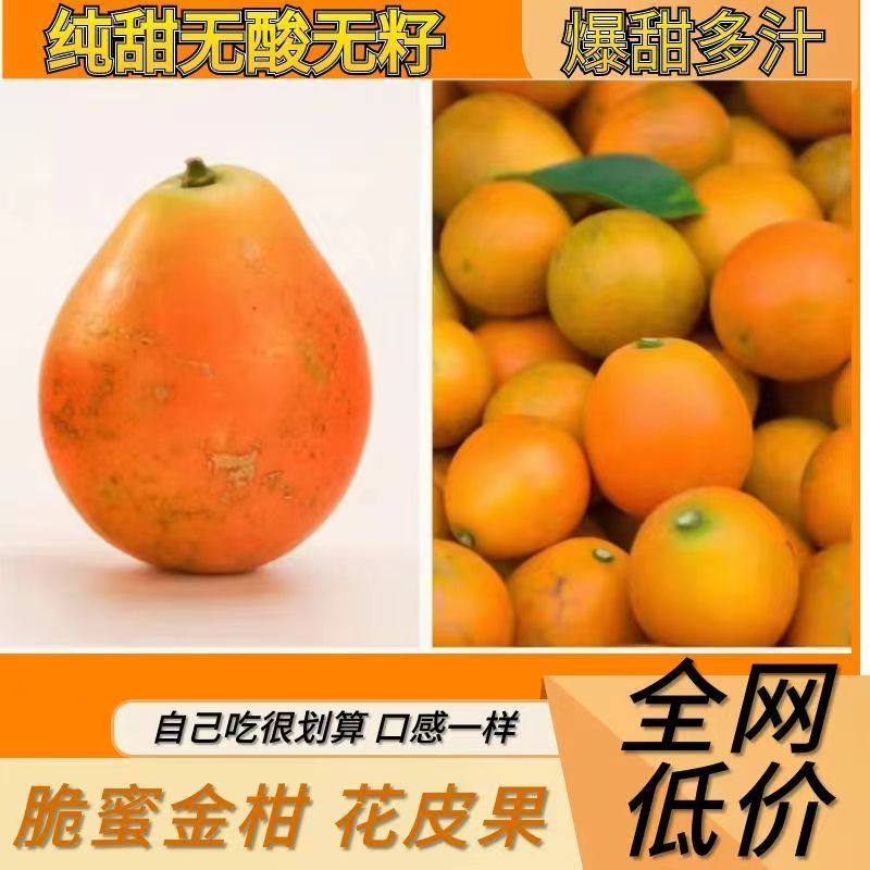 优选广西脆皮金桔小金桔新鲜水果当季橘子砂糖柑桔纯甜蜜孕妇整箱,水产肉类/新鲜蔬果/熟食,桔子,淘宝优惠券,粉丝福利购,淘宝优惠卷