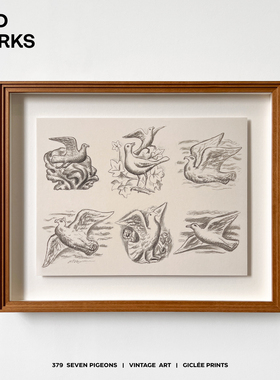 WED WORKS 和平鸽中古素描手稿悬浮装裱挂画阿尔托原木简约装饰画