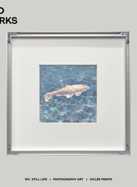 WED原创小众设计摄影装饰画 中古包豪斯客厅咖啡角卧室韩式盐挂画