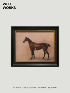 WED WORKS 小众中古马动物图案装饰画 书房卧室客厅实木框挂画