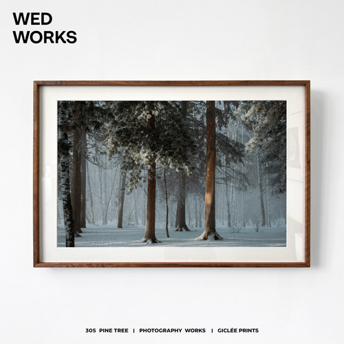 WED 小众原创风景树林摄影装饰画 轻奢客厅餐厅设计师样板间挂画