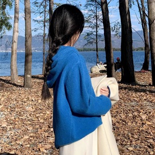 毛衣女秋冬季 克莱因蓝连帽针织打底衫 慵懒感内搭宽松套头上衣
