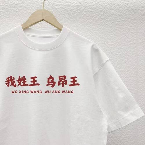 2025新款百家姓氏我姓陈谐音梗短袖T恤男宽松圆领半袖文化衫潮12