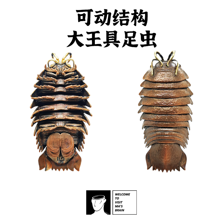 具足虫可动结构纯银吊坠原创设计个性把玩海洋黄铜做货小马哥超赞