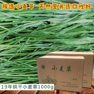 宠物兔小麦草粮22年新草精选麦苗烘干多维营养兔子荷兰猪小麦干草