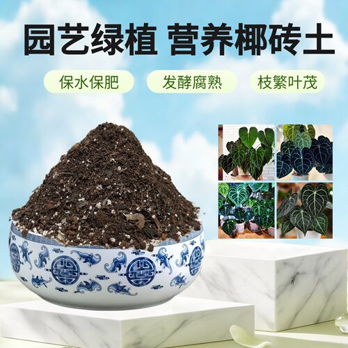 克莱恩水晶花烛营养土家用室内客厅火鹤王帝王花烛盆栽专用种植土