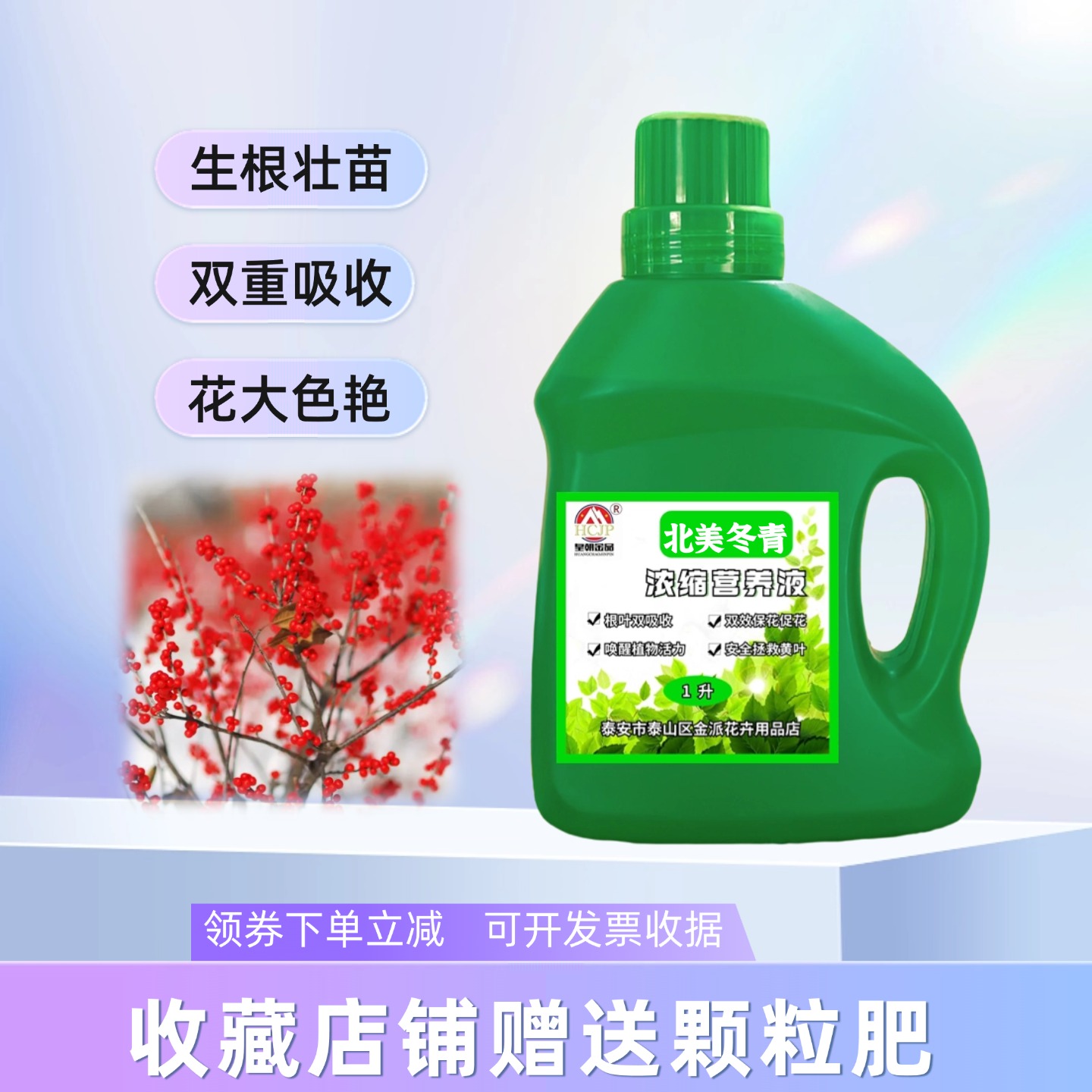 北美冬青树苗浓缩营养液