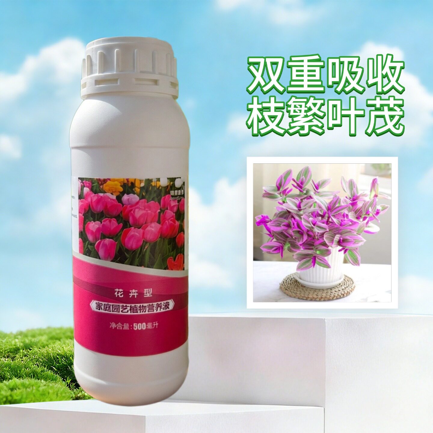 油画婚礼吊兰营养液水溶黄叶肥料图片