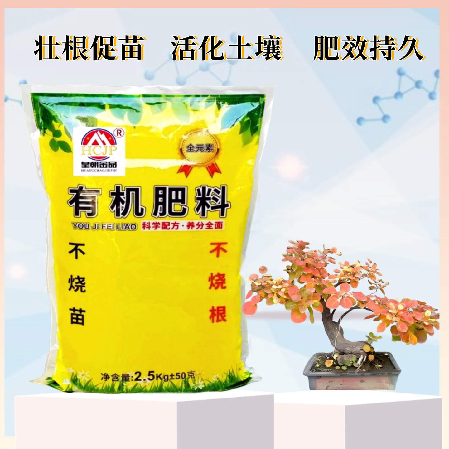 香山红叶黄栌盆景有机肥