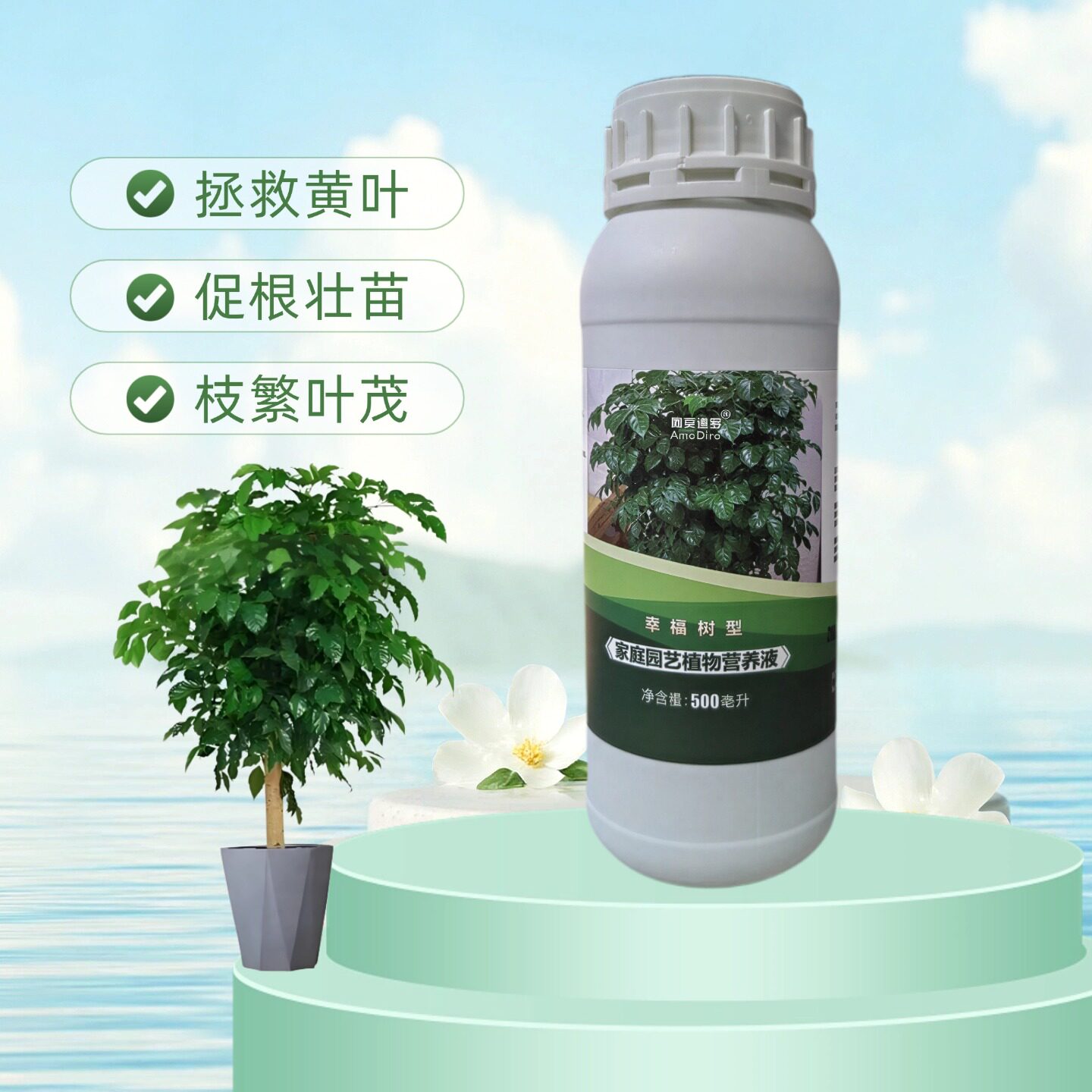 幸福树绿宝菜豆树营养液家用室内客厅大型盆栽老桩专用黄叶水溶肥