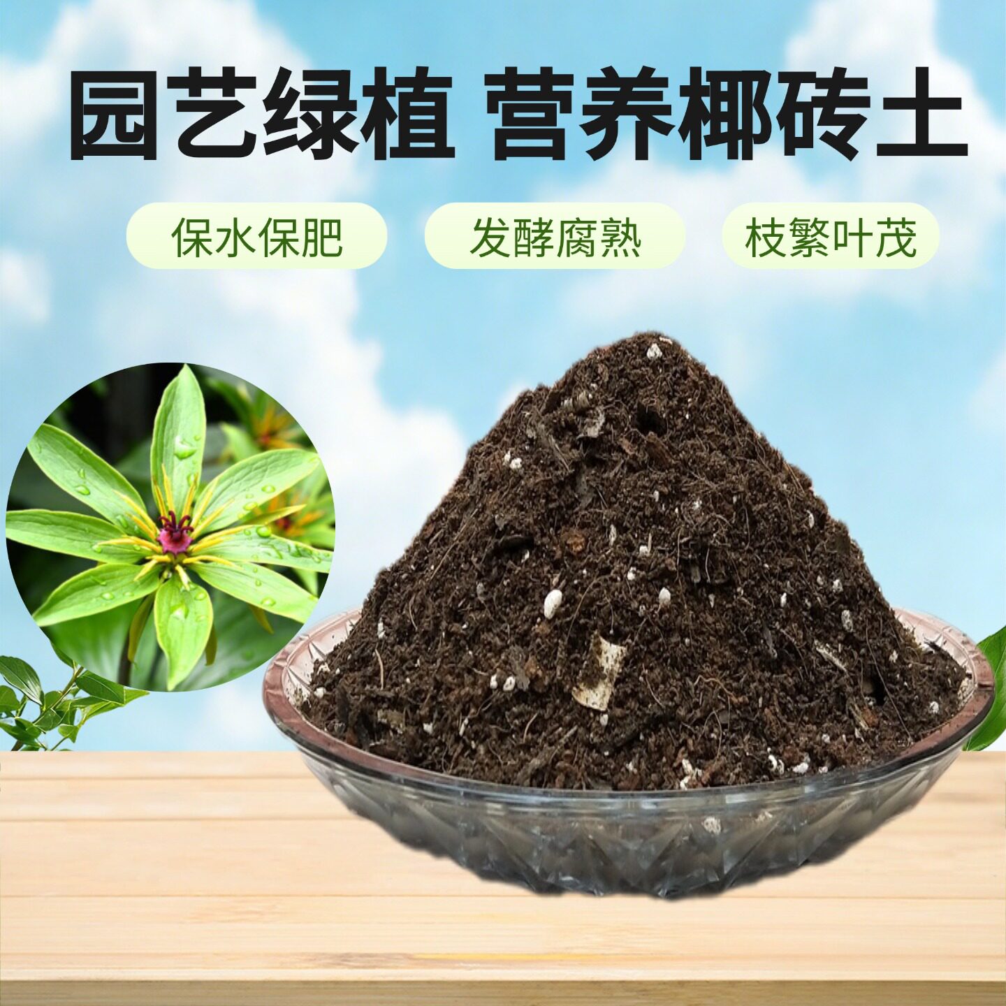 重楼七叶一枝花椰砖营养土图片
