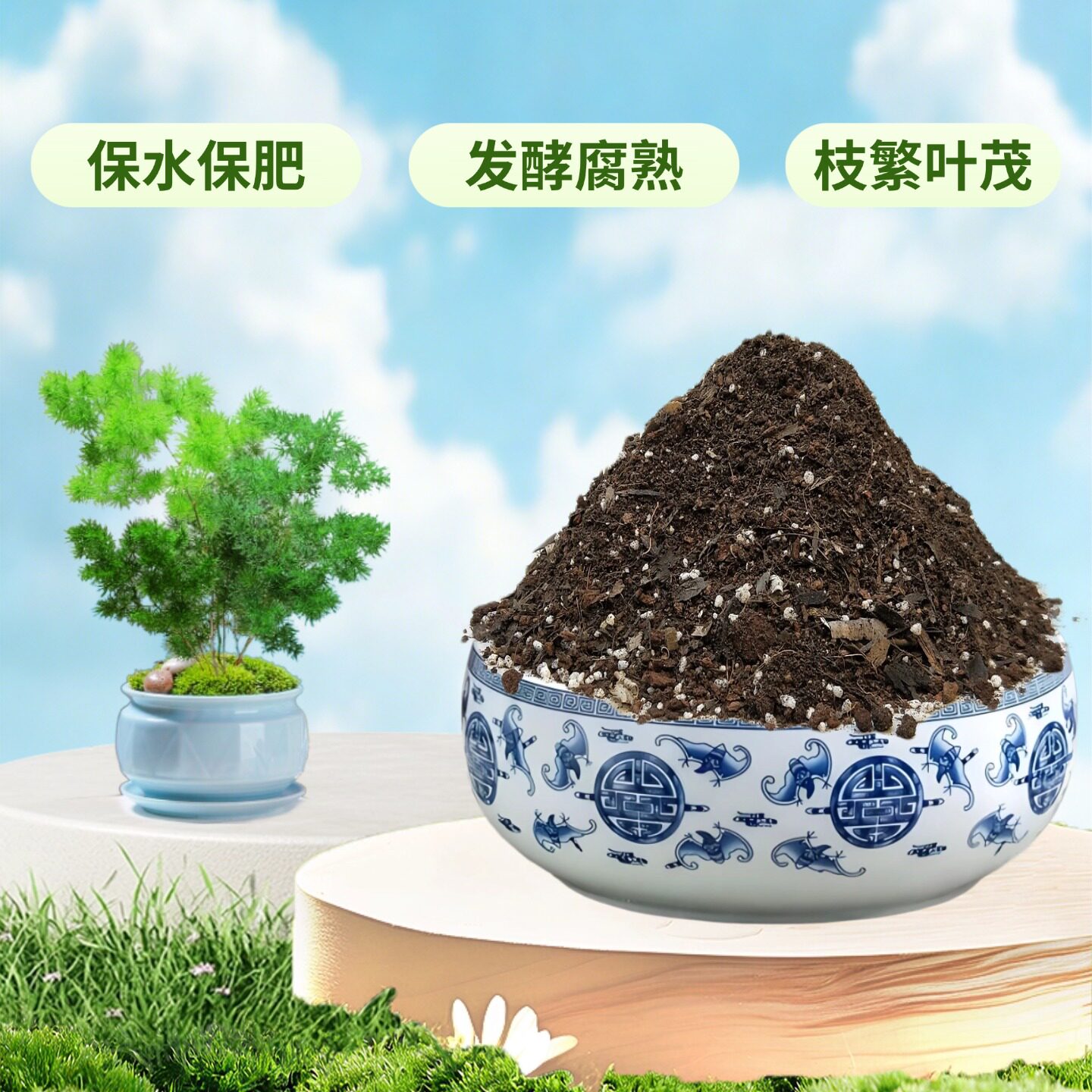 蓬莱松盆景营养椰砖土家用绣球松松叶文竹小盆栽老桩专用育苗种植