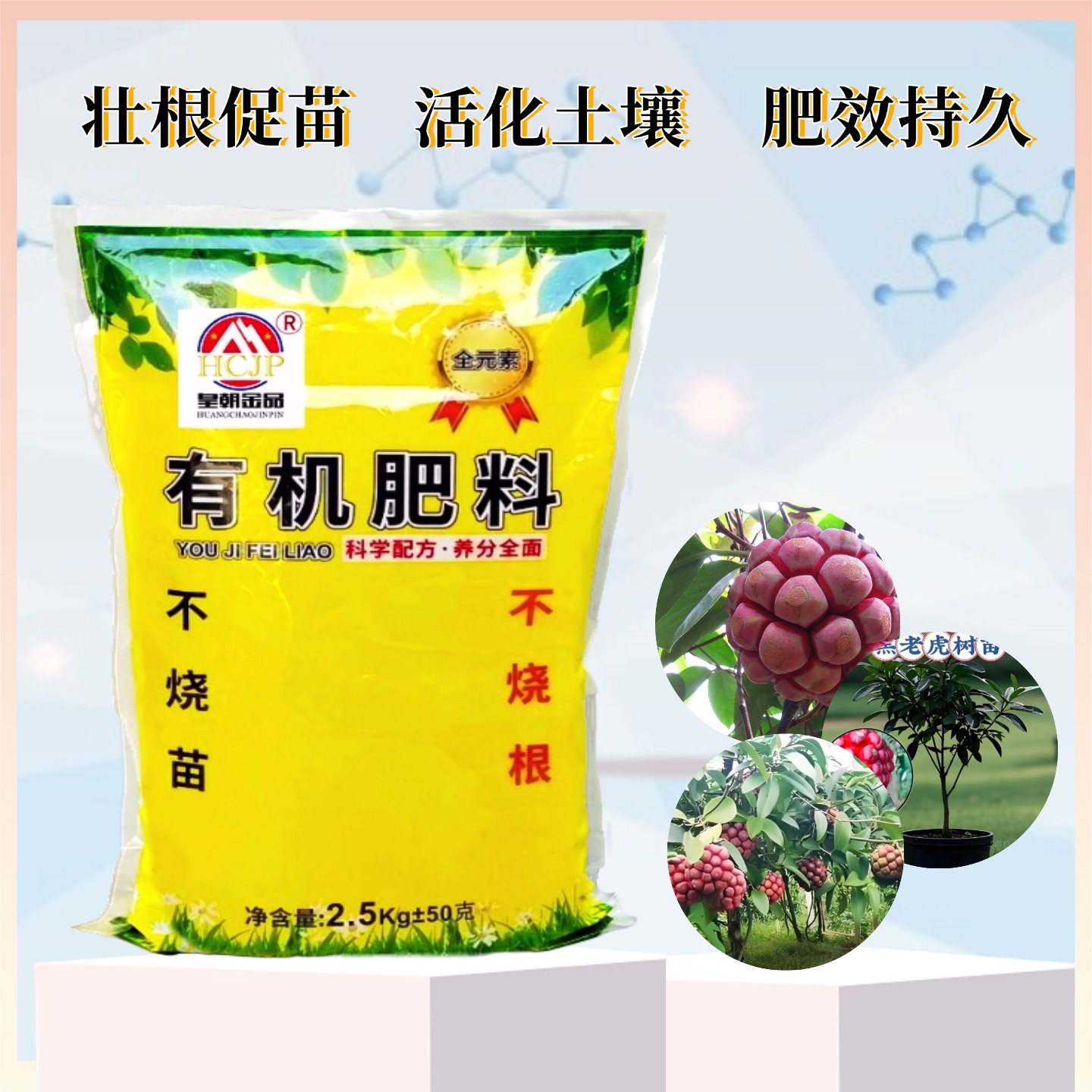 有机肥黑老虎树苗庭院冷饭团