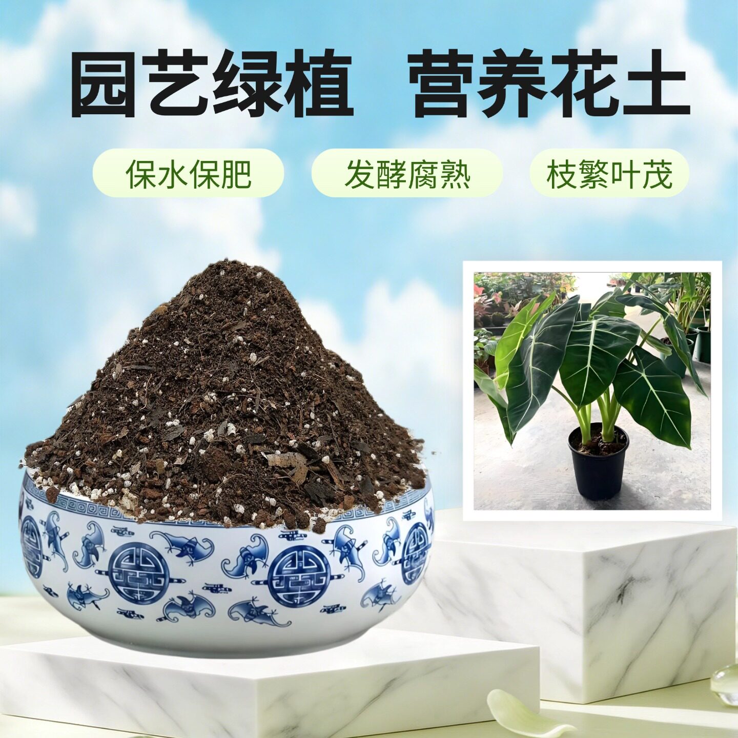 白犀牛海芋营养土椰糠家用绿天鹅绒大仙女萨利安龙鳞盆栽育苗种植