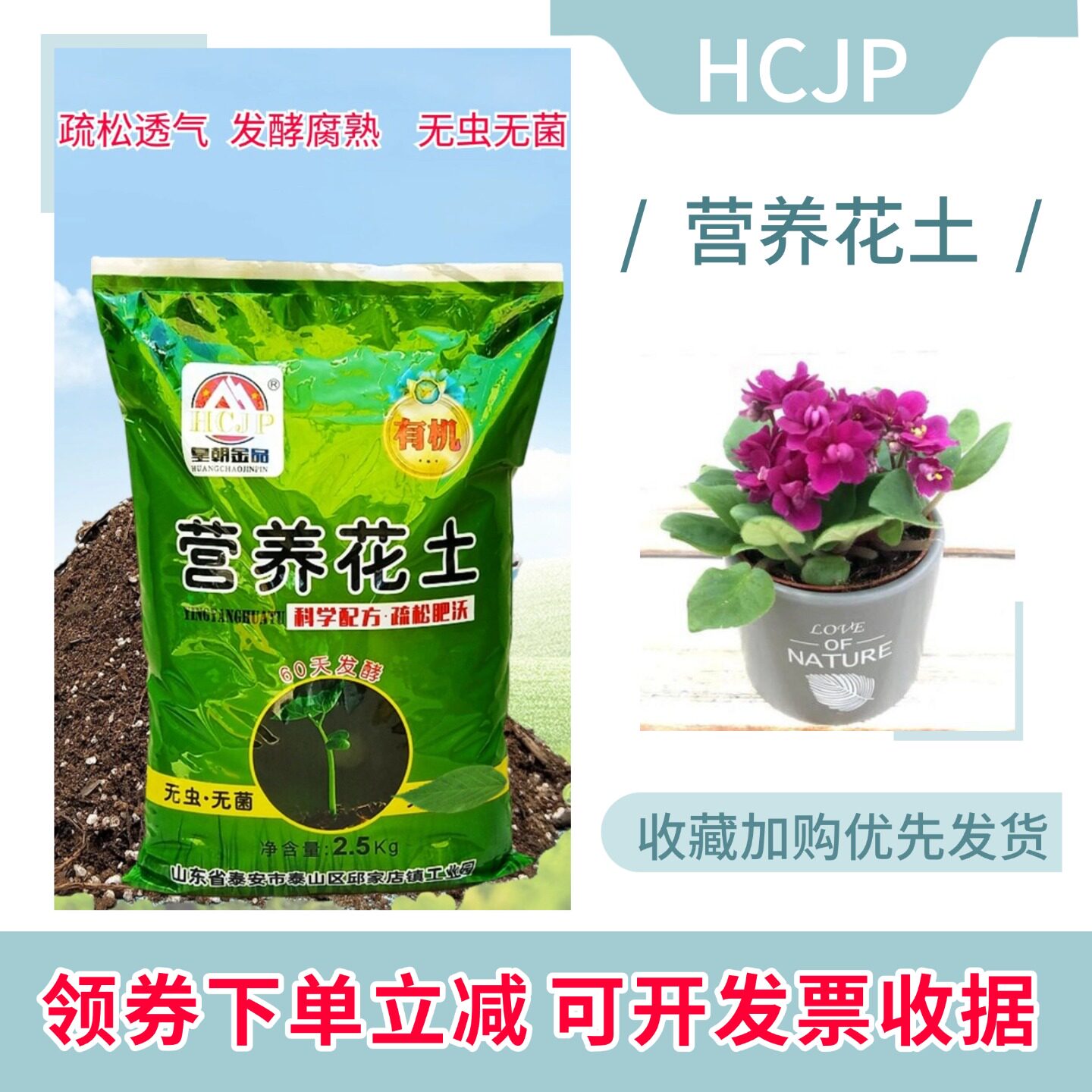 非洲堇紫罗兰盆栽营养花土腐熟家用庭院室内重瓣绿植专用育苗种植