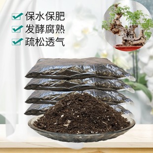 黄荆盆景椰砖营养土家用室内盆栽黄荆条布荆树苗老桩专用育苗种植