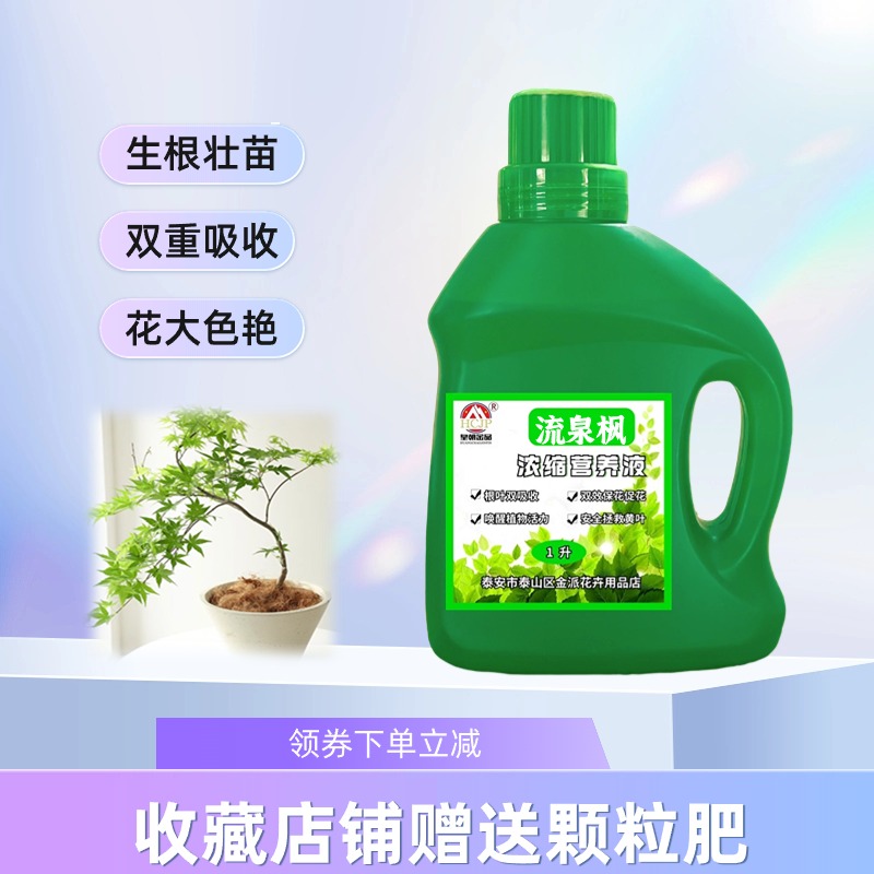 黄金流泉枫专用浓缩营养液家用室内盆景树苗观叶植物水溶复合花肥