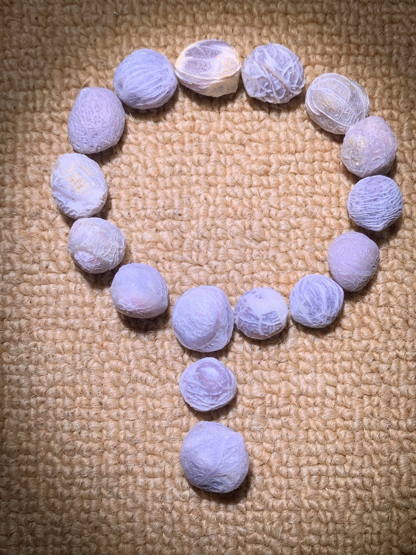 新疆葡萄干对孔尺寸1.3