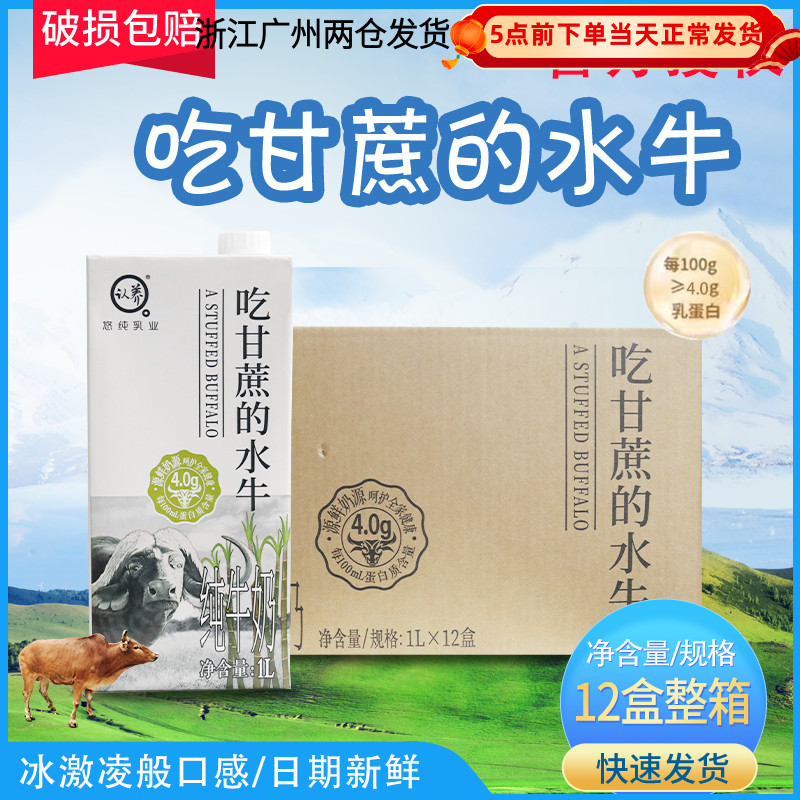 吃甘蔗水牛奶1L喜茶水牛纯奶认养