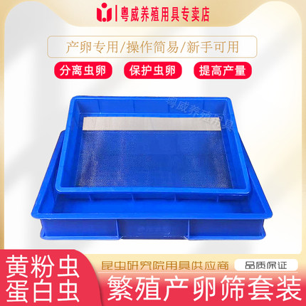 黄粉虫产卵筛网面包虫加厚不锈钢产卵筛养殖盒蛋白虫专用繁殖套装