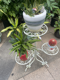 多层花架阳台客厅花盆架酒店民宿大厅花盒架多肉绿萝花店展示架子