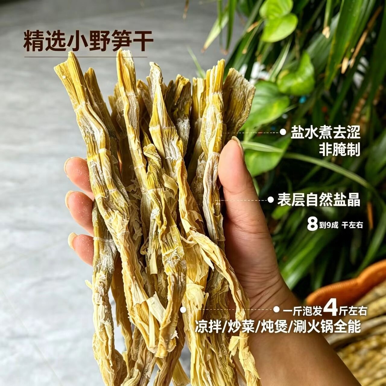 野生笋干特产新鲜竹笋嫩笋尖野笋