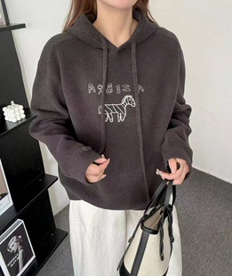 81258蓝粒绒韩系加绒加厚连帽宽松毛衣女秋冬百搭保暖上衣