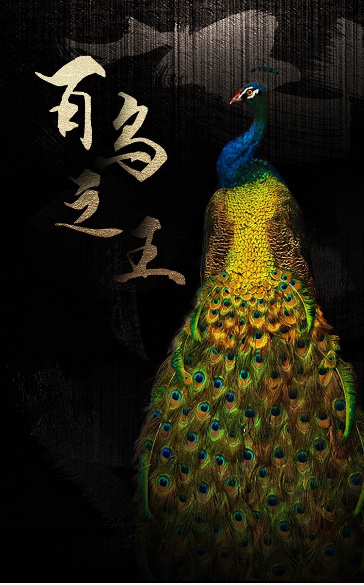 孔雀标本仿真招财摆件客厅婚庆