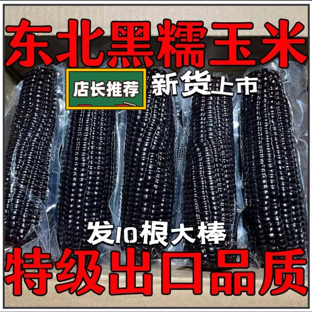 整箱东北黑糯玉米棒新鲜甜糯黑玉玉米