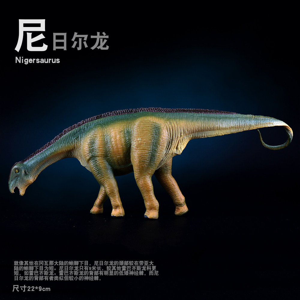仿真恐龙模型玩具  尼日尔龙  雷巴齐斯龙模型