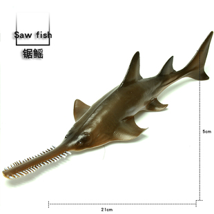 海洋生物模型 鱼类 鳐鱼 锯鳐 锯齿鳐 孩子认知模型摆件玩偶