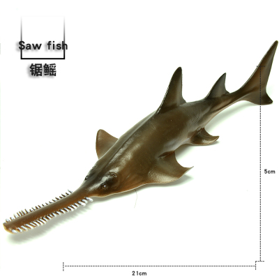 海洋生物模型鱼类鱼锯锯齿孩子