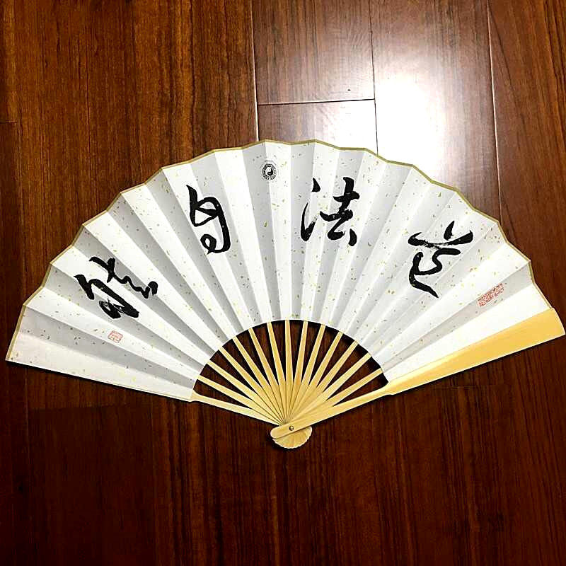 怀袖堂折扇 题字字体任选 行书 楷书 草书瘦金书隶书 趣味 可定制