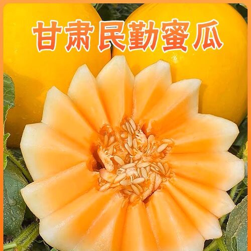 【坏果包赔】甘肃民勤蜜瓜新鲜应季水果香甜可口净重 4.5-8斤包邮