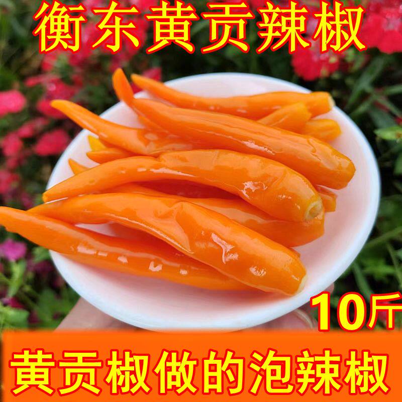 湖南黄辣椒衡东三樟新鲜黄贡椒泡椒卜辣椒黄辣子剁椒鱼头调料10斤
