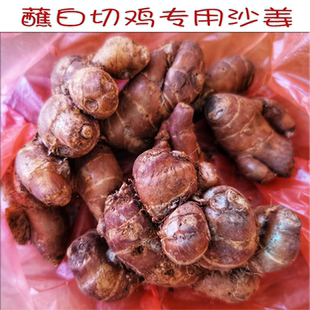 正宗茂名高州湛江特产新鲜沙姜山奈白切鸡配料浓香椰子鸡猪脚蘸料