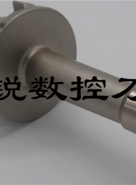 一体式粗镗孔刀柄 BT50-BSA25-135 BSA30-165粗镗孔刀柄斜插45°