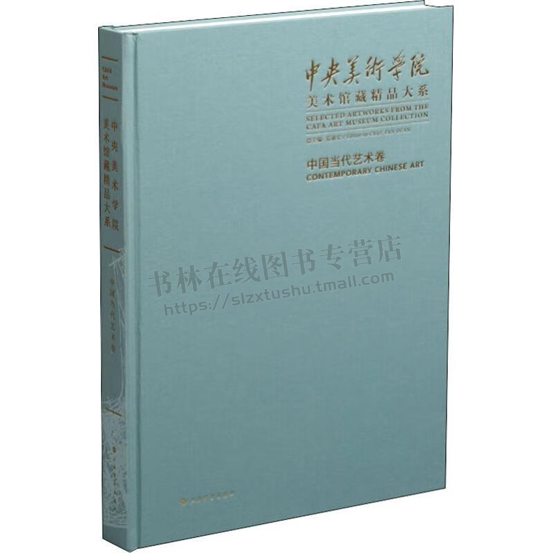 中央美术学院美术大系 中国当代艺术卷 王璜生 邱志杰 著 中国当代艺术品 上海书画出版社