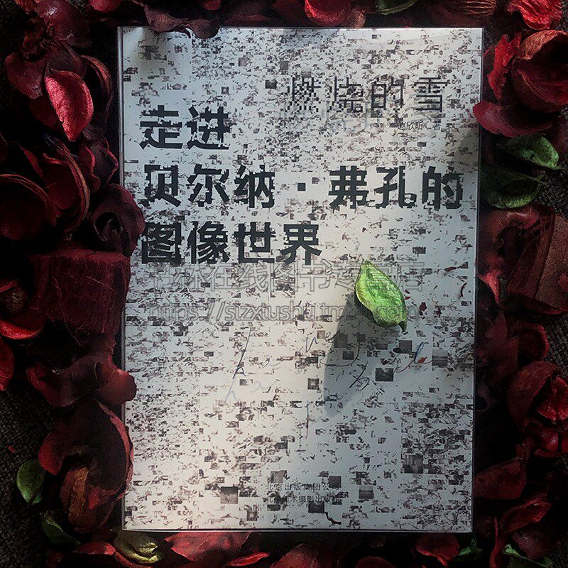 燃烧的雪 走进贝尔纳.弗孔的图像世界西方摄影艺术名家经典系列作品集书籍 时光 悠长假期 可能变迁的时光 嬗变的尾声 之后的时光