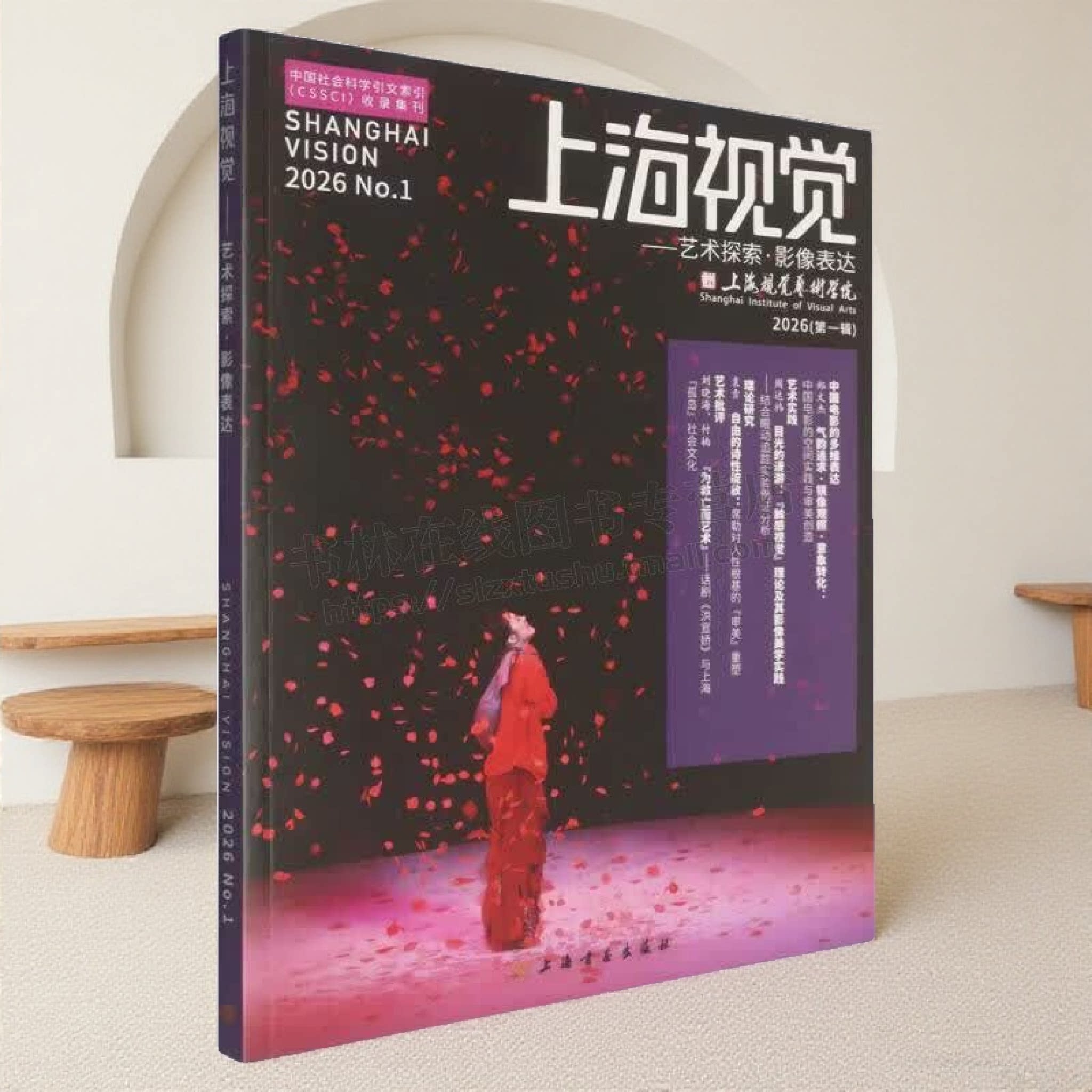 上海视觉艺术探索影像表达 视觉艺术与影像表达综合性学术著作中国电影多维度探索艺术实践理论研究艺术批评 空间美学上海书画出版