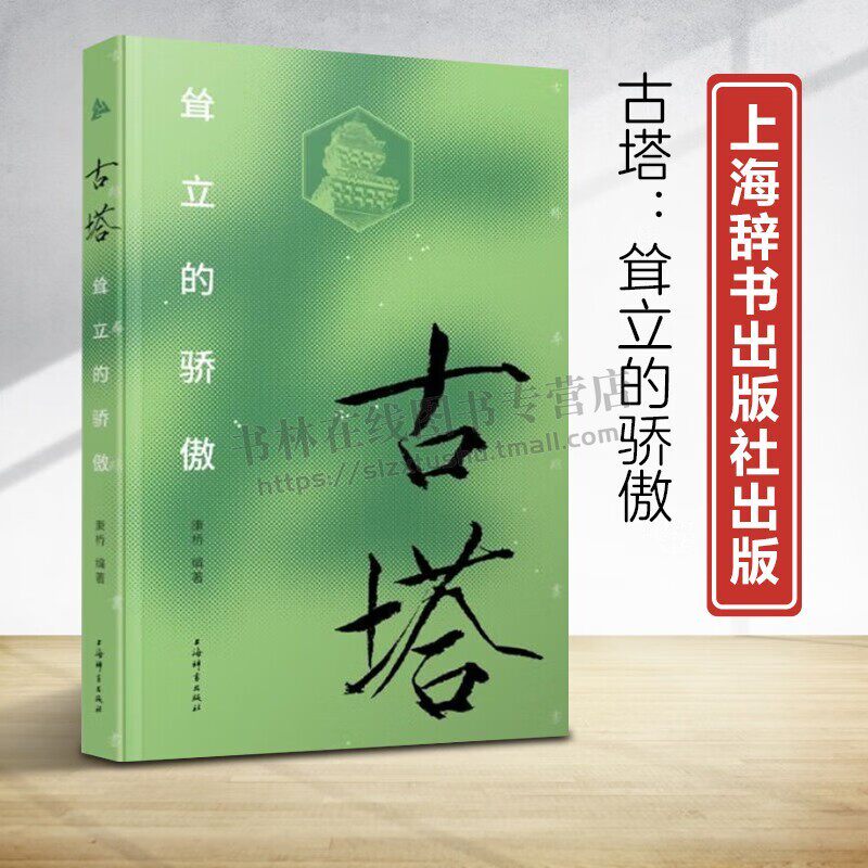 古塔耸立的骄傲古迹寻踪丛书 嵩岳寺塔国清寺砖塔神通寺永泰寺塔兴教寺塔大雁塔会善寺净藏禅师身塔灵岩寺辟支塔等介绍赏析