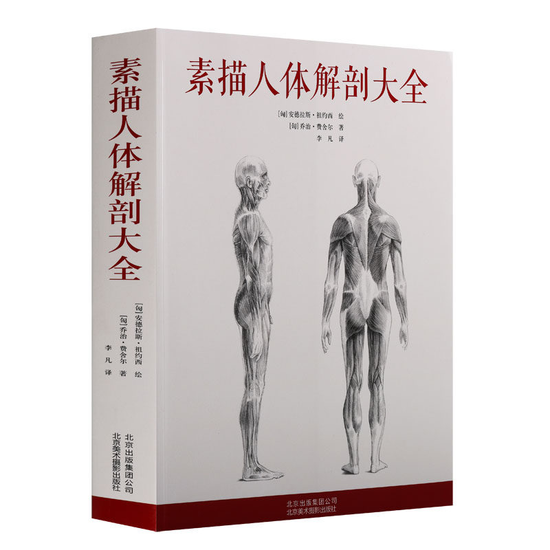 《素描人体解剖大全》安德拉斯祖约西绘乔治费舍尔著匈牙利艺术家绘制1200多幅图例专业的注释艺用人体骨骼关节肌肉北京美术摄影