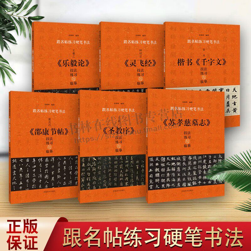跟名帖练习硬笔书法(6册)钟绍京灵飞经智永楷书千字文王羲之乐毅论董其昌邵康节帖王羲之圣教序苏孝慈墓志楷 钢笔硬笔书法字帖