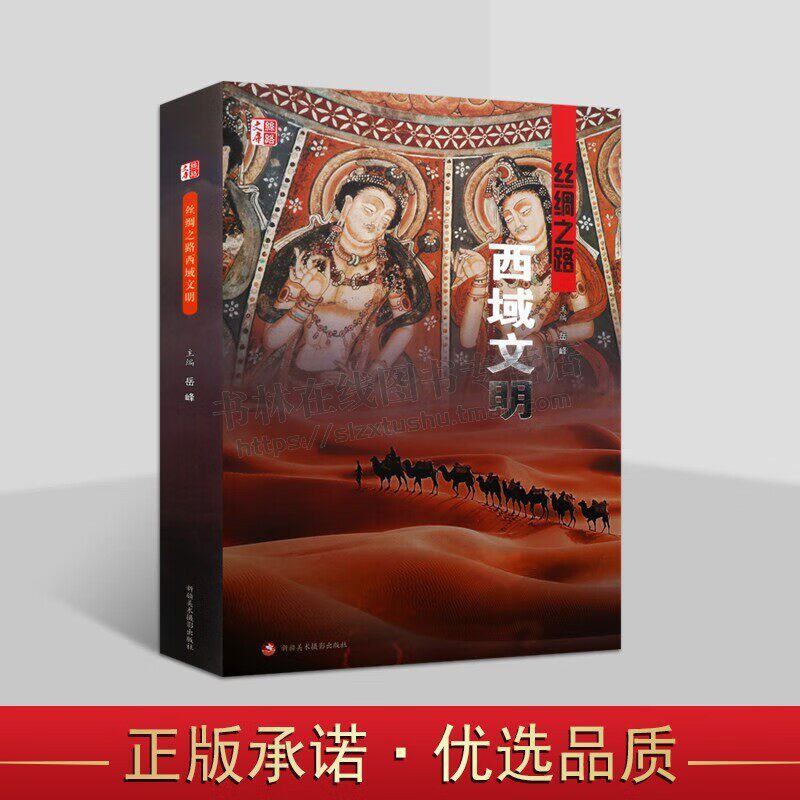 丝绸之路西域文明 丝路文库 地方史 中国历史 西域文化史 新疆历史文化档案册 西域文化图册赏析 新疆美术摄影出版社