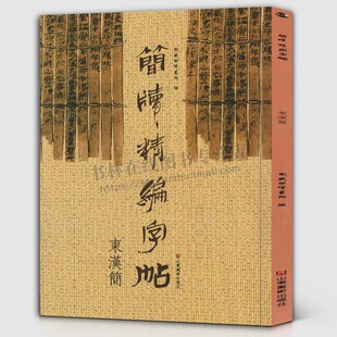简牍精编字帖 东汉简 篆书草篆隶书草隶行草章草古简牍中国书法史书论大全毛笔书法字帖技法研究理论体系书籍 山东美术出版社