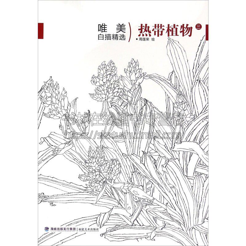 唯美白描精选 热带植物 三 工笔画花卉技法白描底稿勾线稿毛笔画谱
